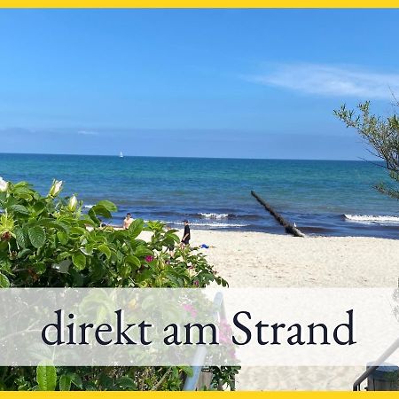 3 Zimmer App Duenengarten Fewo 58 Ostseebad Kühlungsborn 외부 사진