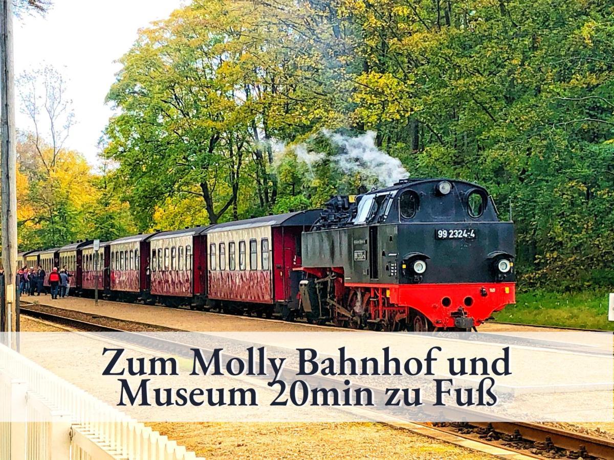 3 Zimmer App Duenengarten Fewo 58 Ostseebad Kühlungsborn 외부 사진