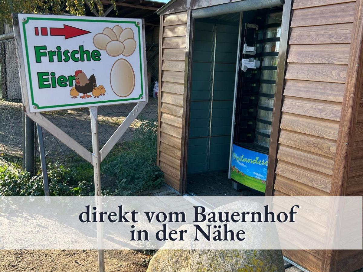 3 Zimmer App Duenengarten Fewo 58 Ostseebad Kühlungsborn 외부 사진
